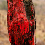 Sin título Sin título