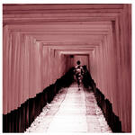 Cuento de Rojo V / Story of Red V Cuento de Rojo V / Story of Red V