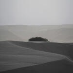 Dunas de Taton Dunas de Taton