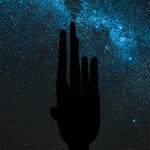 Peuser Art Project Peuser Art Project