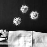 Albano sueña despierto con el coronavirus Albano sueña despierto con el coronavirus