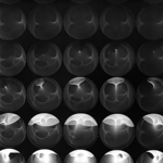 sin titulo sin titulo