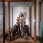 Wüsüwül Wirka y tres cóndores embalsamados 2019 Wüsüwül Wirka y tres cóndores embalsamados 2019