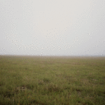 Paisaje II Paisaje II