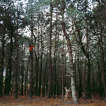 Sin título Sin título