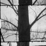 Villa Ruiz (v.t.) Villa Ruiz (v.t.)