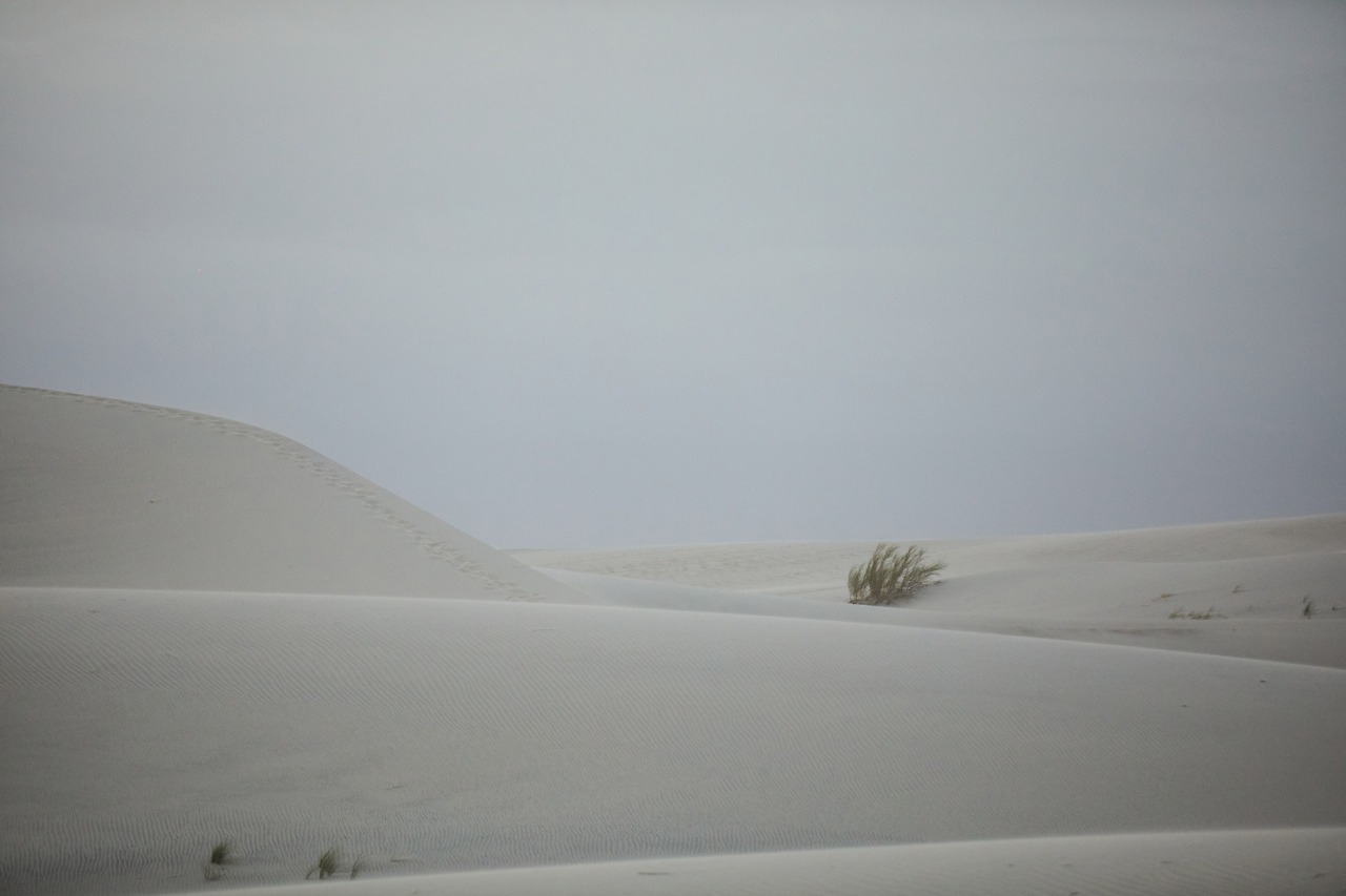 Arena en el Desierto